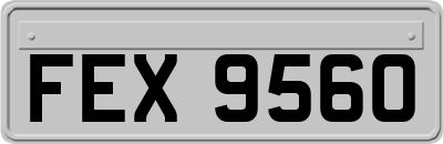 FEX9560