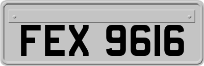 FEX9616