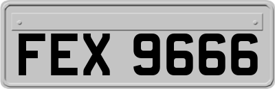 FEX9666