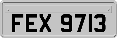 FEX9713