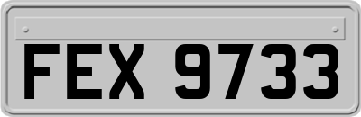FEX9733