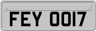 FEY0017