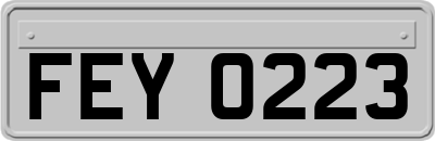 FEY0223