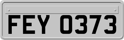 FEY0373