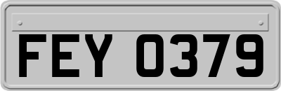 FEY0379