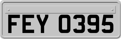 FEY0395