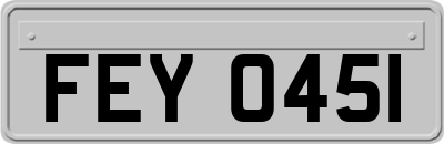 FEY0451