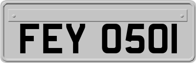 FEY0501