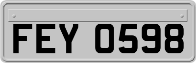 FEY0598