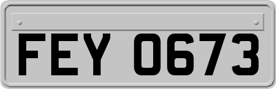 FEY0673