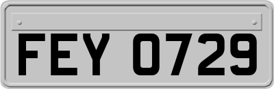 FEY0729