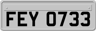 FEY0733