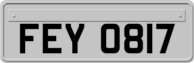 FEY0817