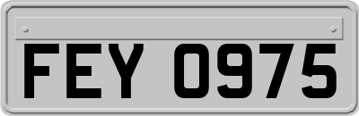 FEY0975