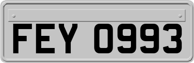 FEY0993