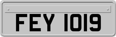 FEY1019