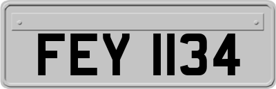 FEY1134
