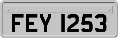 FEY1253