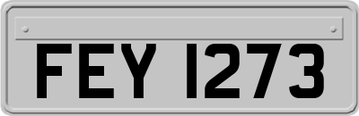 FEY1273