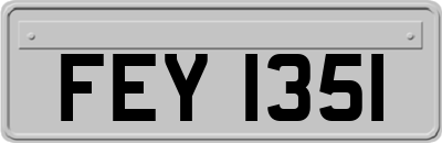 FEY1351