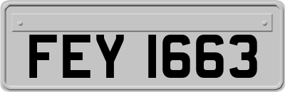 FEY1663