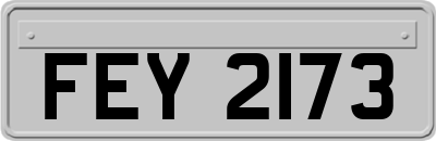 FEY2173