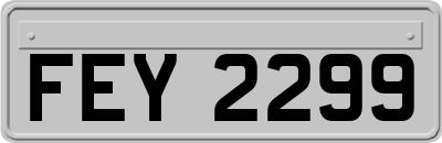 FEY2299