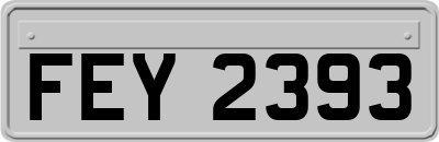 FEY2393