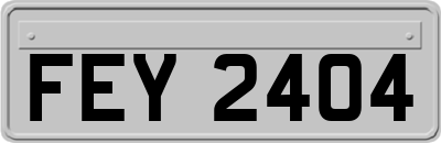 FEY2404