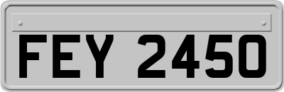 FEY2450