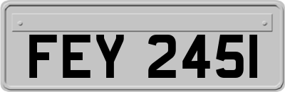 FEY2451