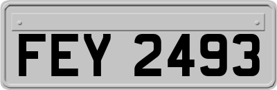 FEY2493