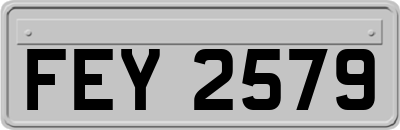 FEY2579