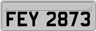 FEY2873