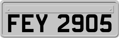 FEY2905