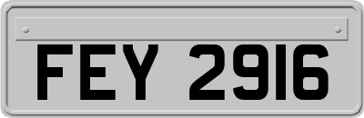 FEY2916