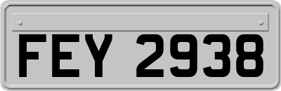 FEY2938