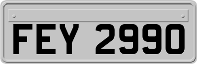 FEY2990