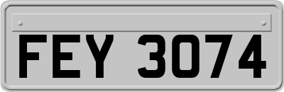 FEY3074