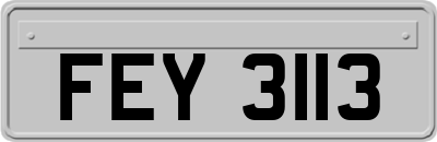 FEY3113