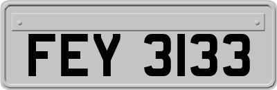 FEY3133