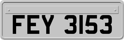 FEY3153