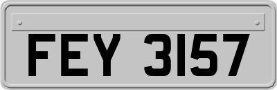 FEY3157