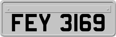 FEY3169