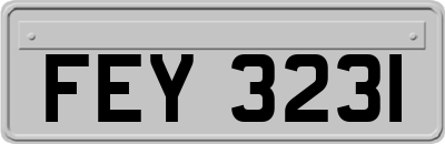 FEY3231