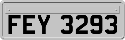 FEY3293