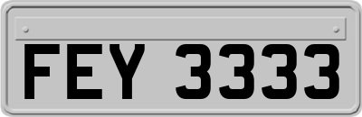 FEY3333
