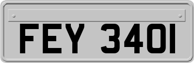 FEY3401