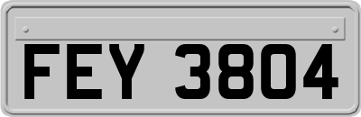 FEY3804