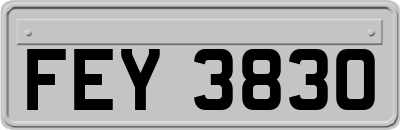FEY3830